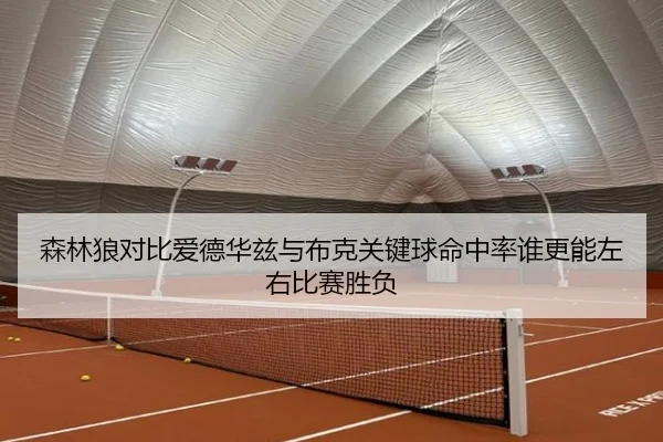 森林狼对比爱德华兹与布克关键球命中率谁更能左右比赛胜负